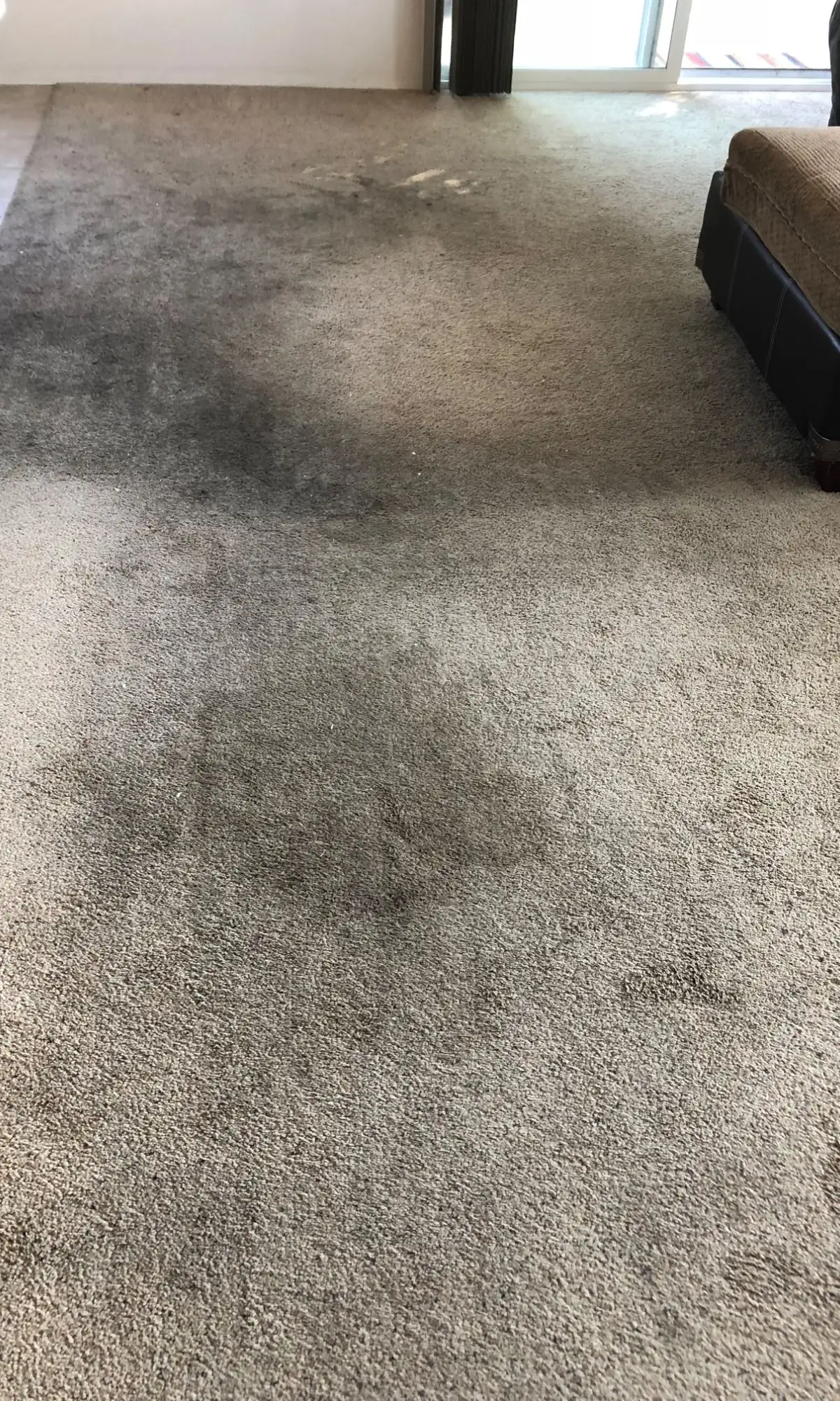 Living room carpet, ground-in soil — before
