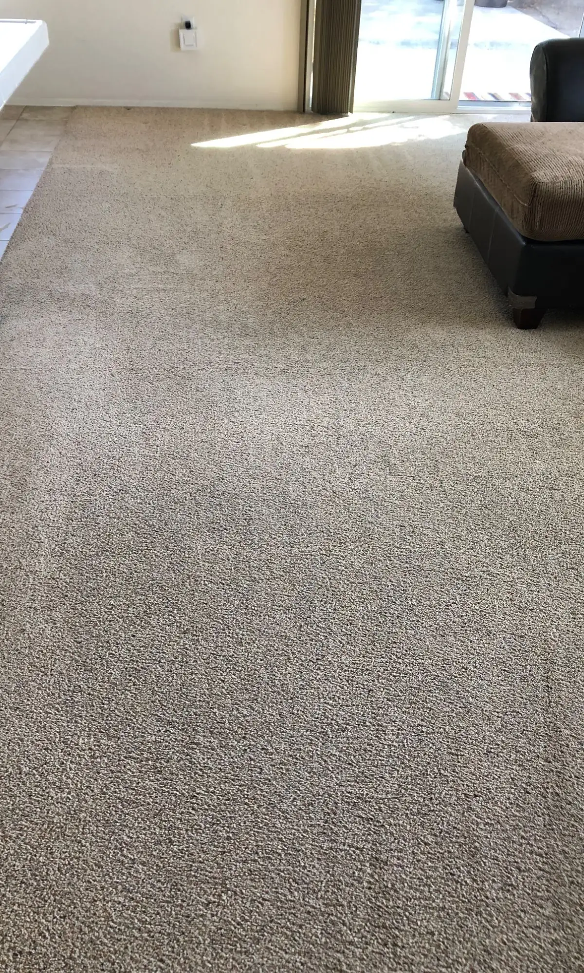 Living room carpet, ground-in soil — after