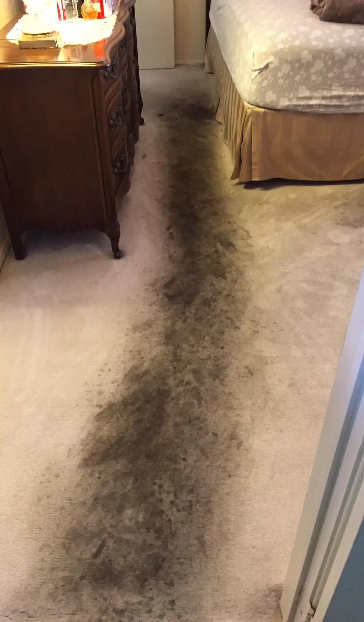 Bedroom carpet, heavy traffic path — before
