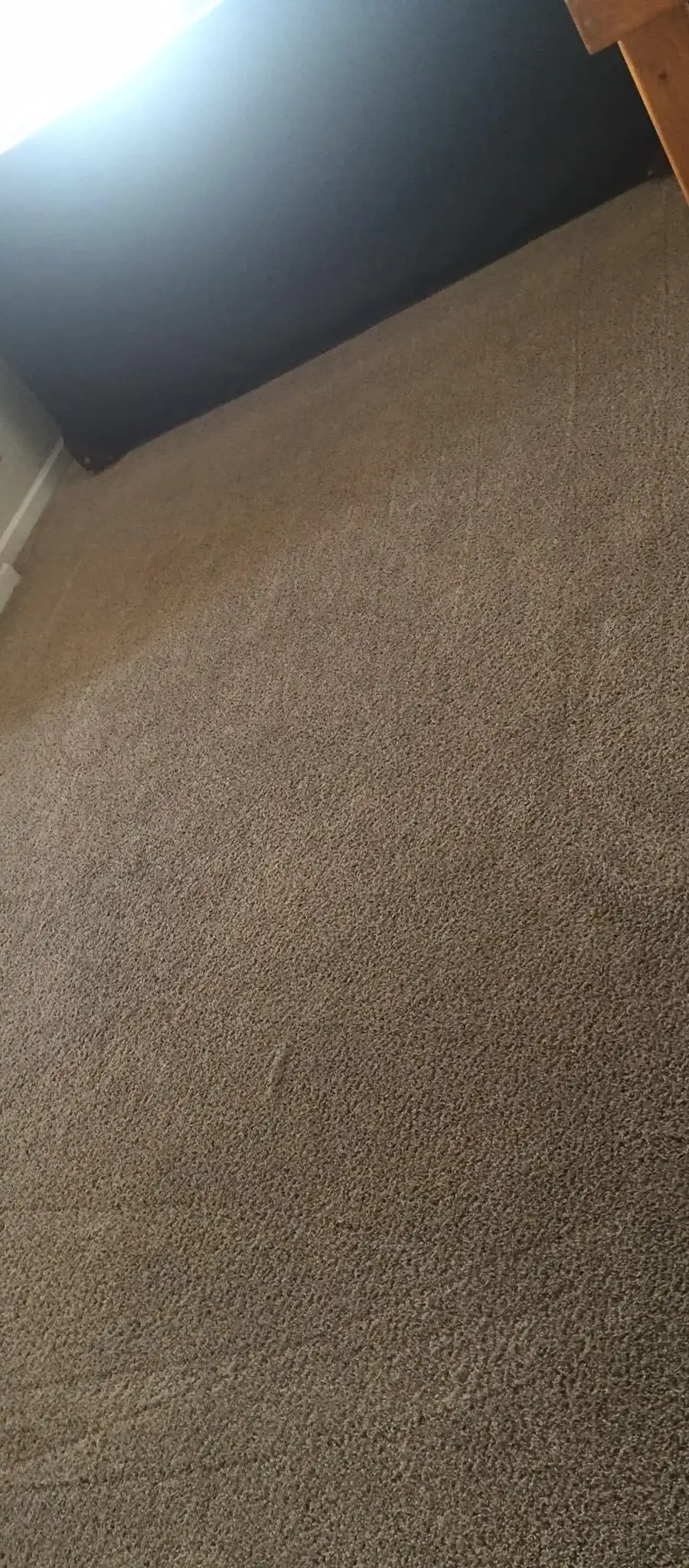 San Diego Carpet Care project photo 8