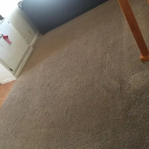 San Diego Carpet Care project photo 8