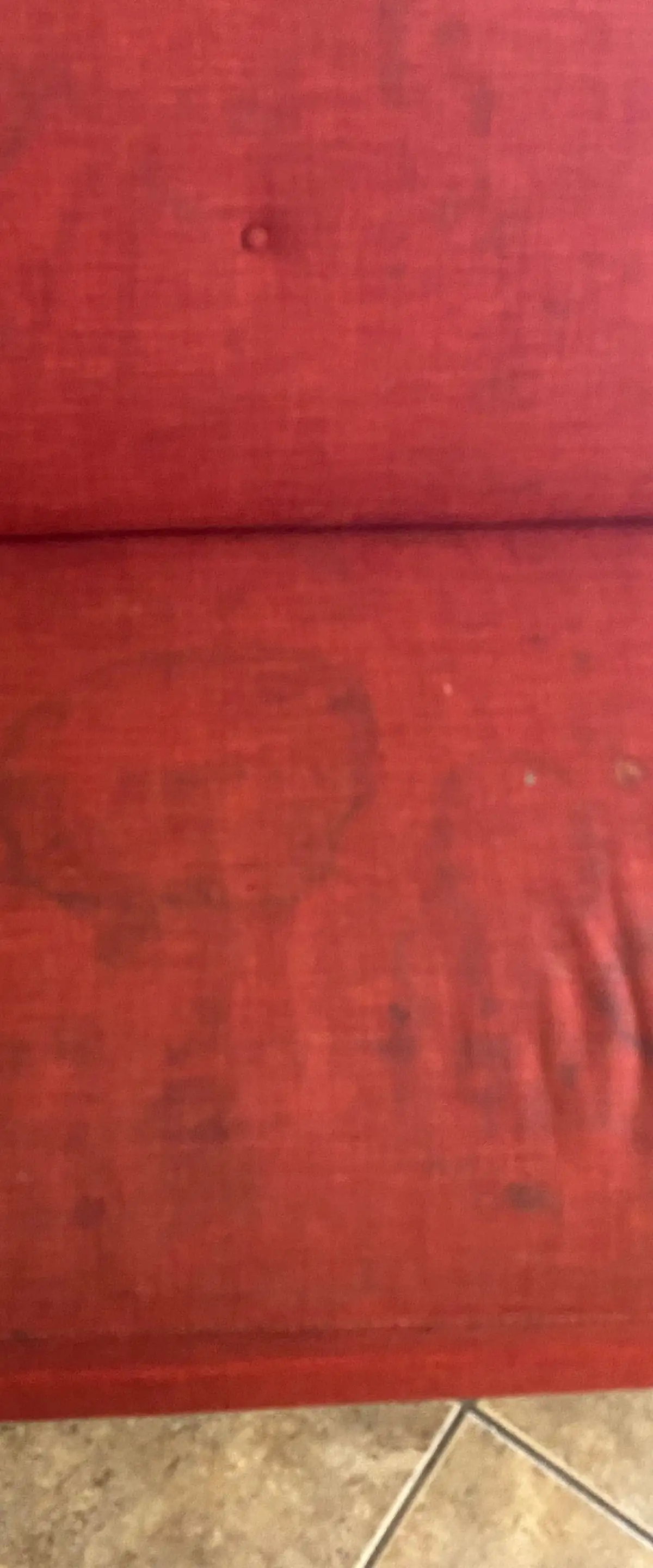 Upholstered sofa, body-oil staining — before