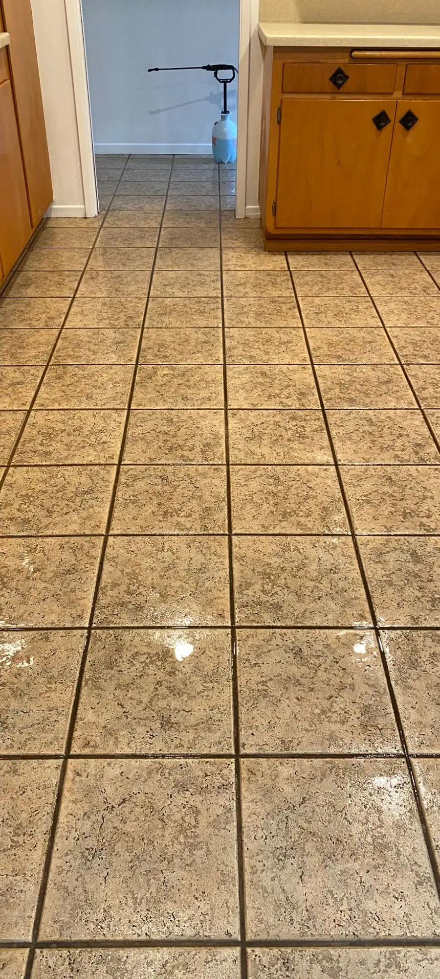 San Diego Carpet Care project photo 10