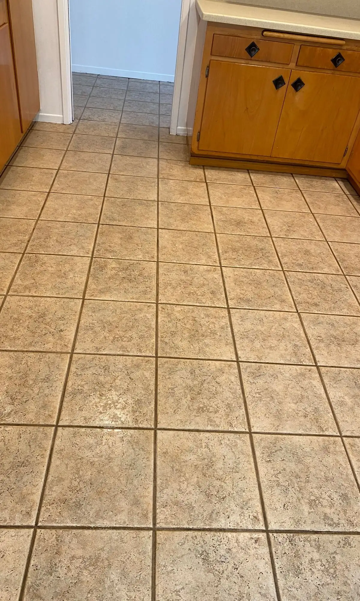 Tile & Grout Cleaning
