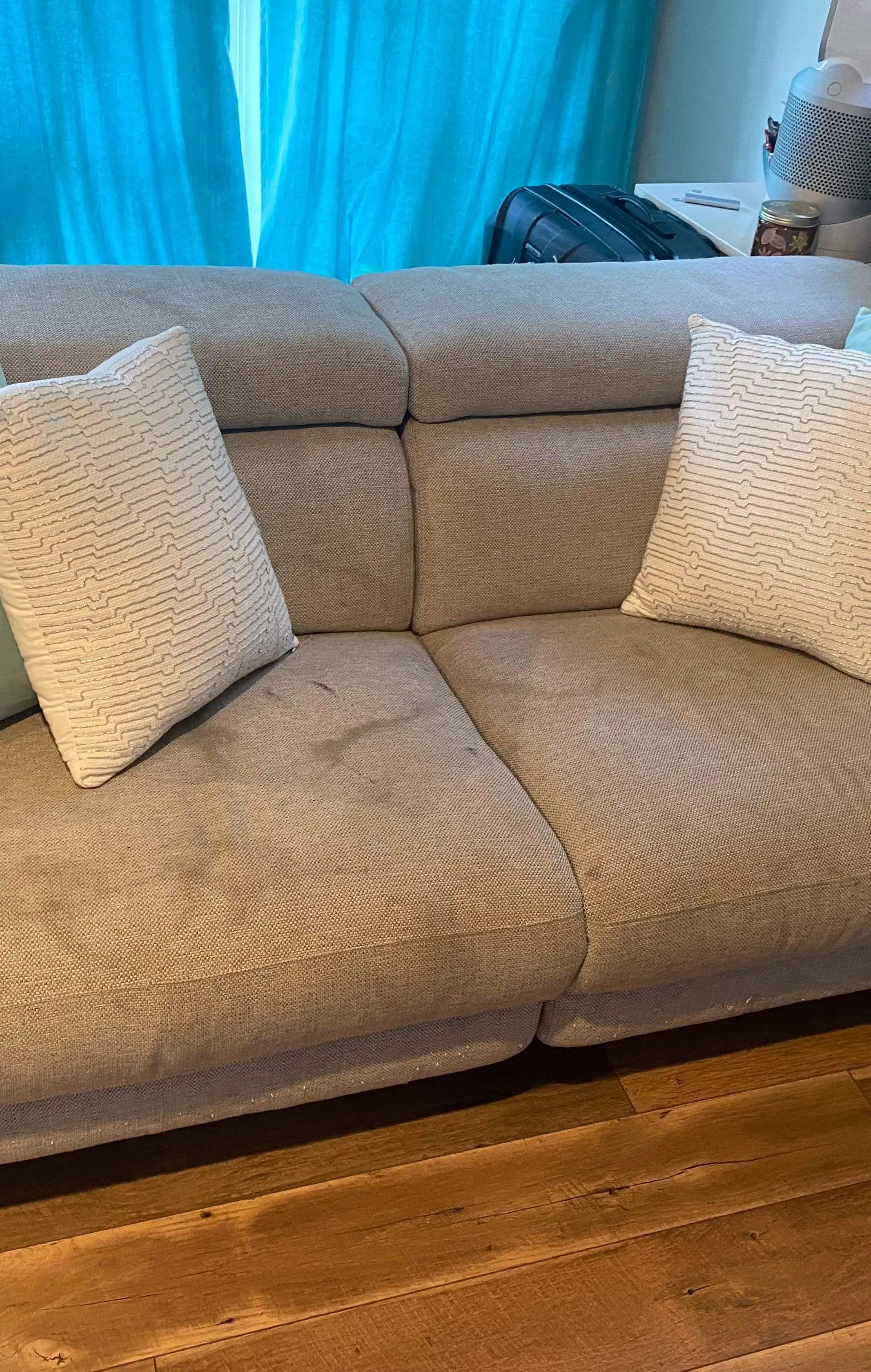 Insights from San Diego Carpet Care