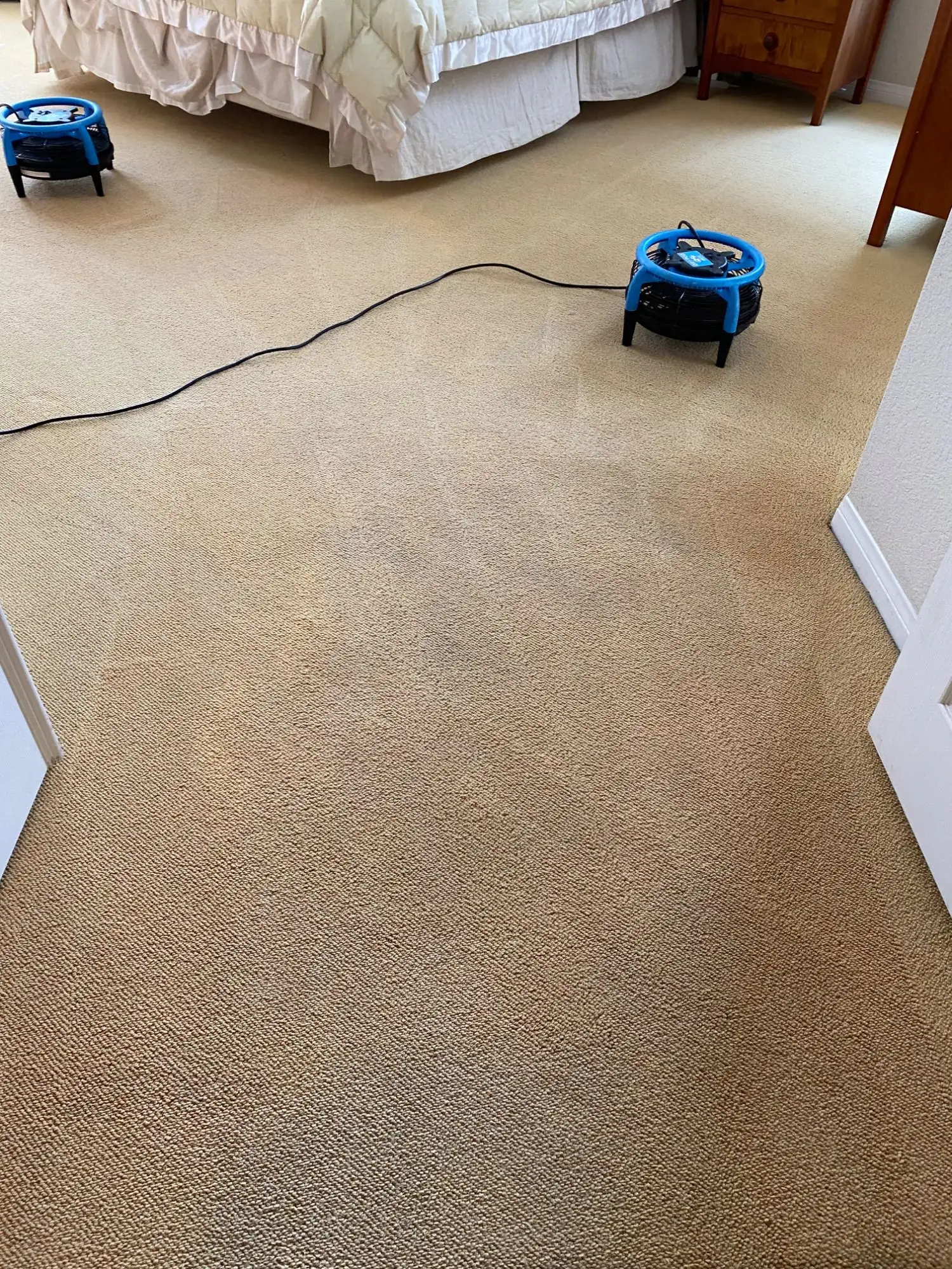San Diego Carpet Care team at work
