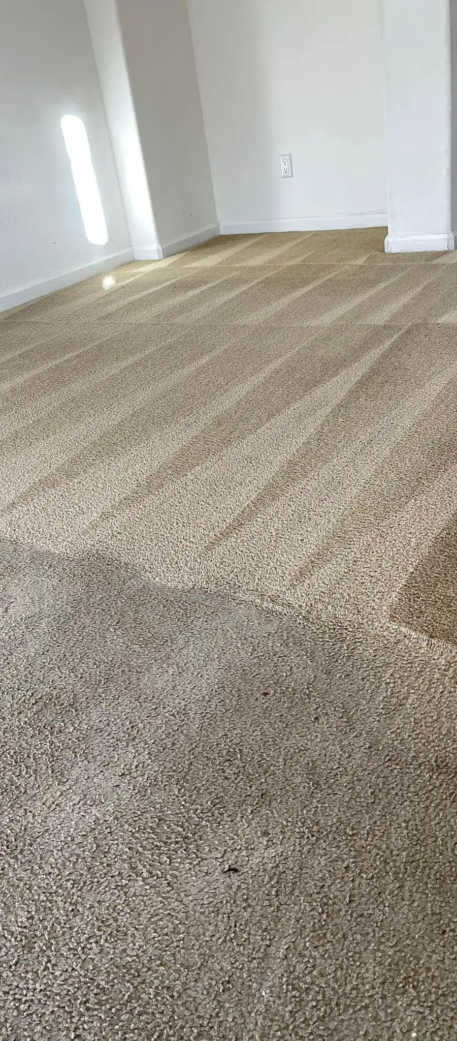 San Diego Carpet Care project photo 5
