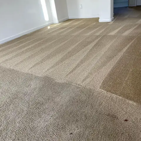 San Diego Carpet Care project photo 5