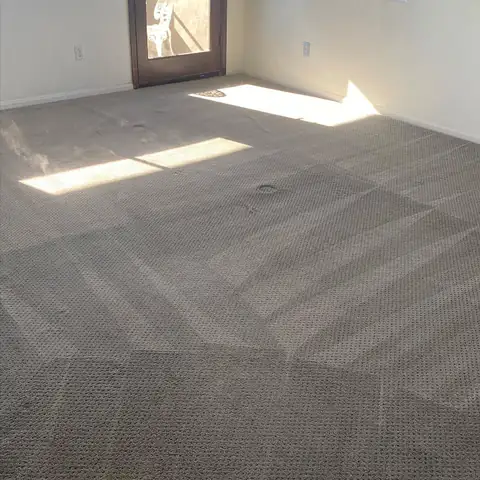 San Diego Carpet Care project photo 2