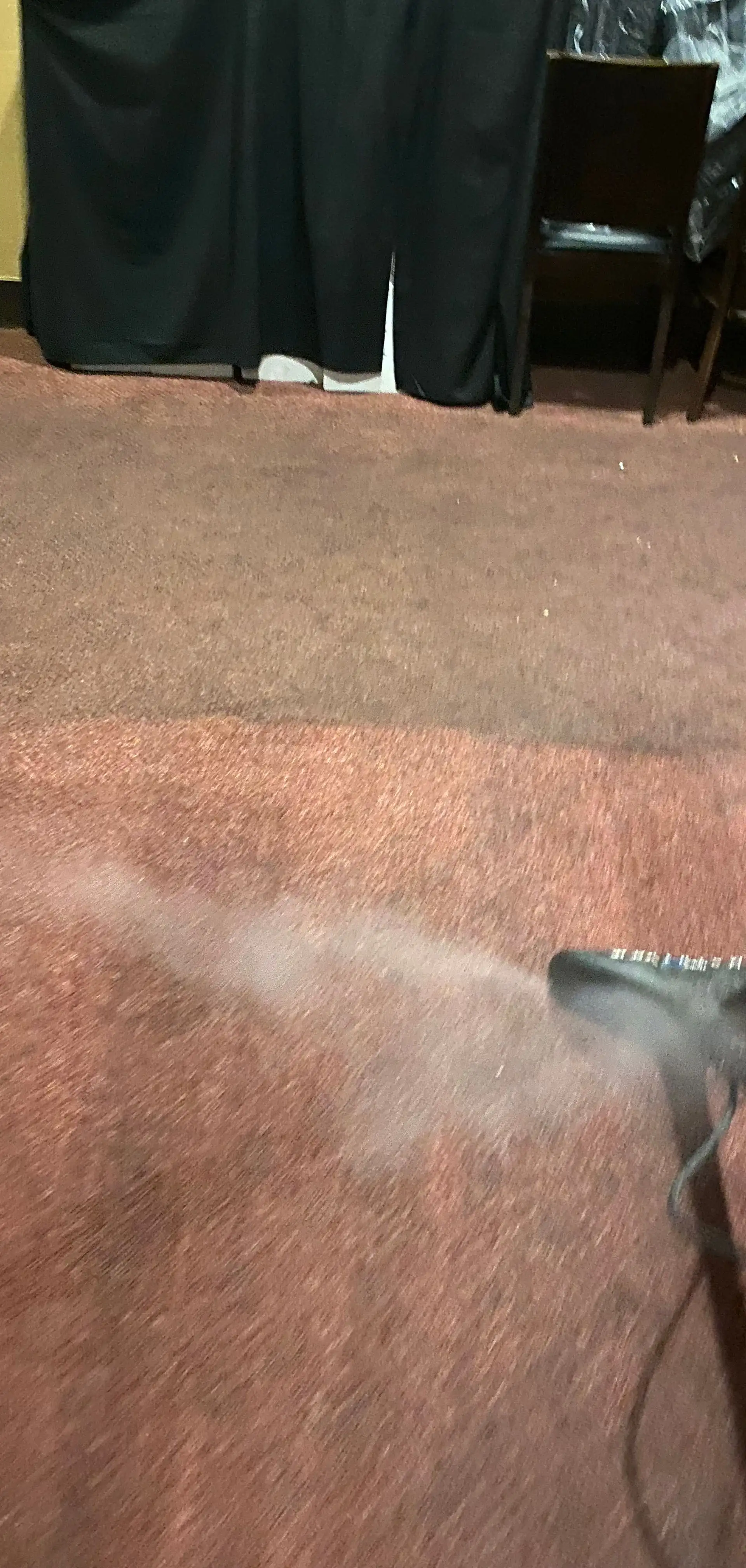 San Diego Carpet Care services