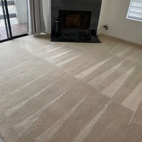 San Diego Carpet Care project photo 20