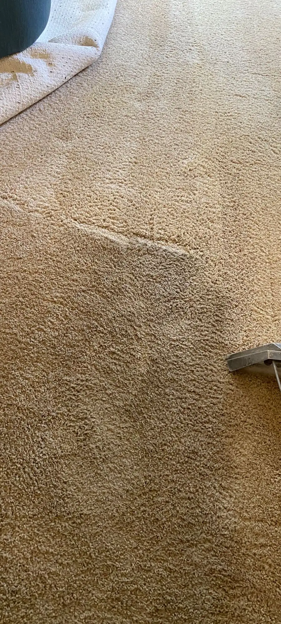 San Diego Carpet Care project photo 7