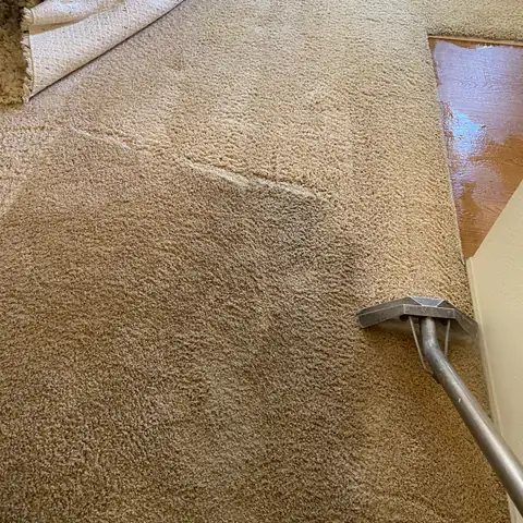 San Diego Carpet Care project photo 7