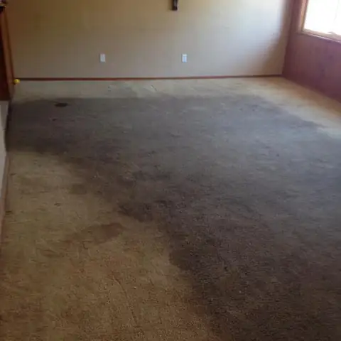 San Diego Carpet Care project photo 19