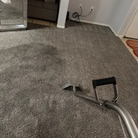 San Diego Carpet Care project photo 17