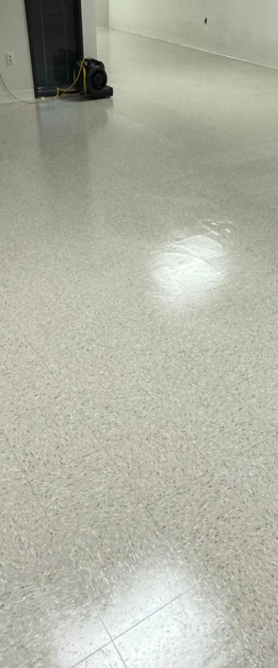 San Diego Carpet Care project photo 3
