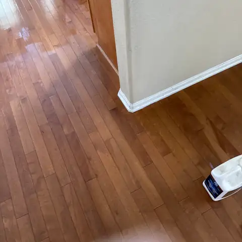 San Diego Carpet Care project photo 14