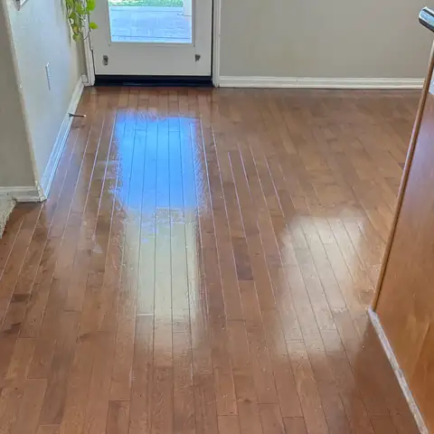 San Diego Carpet Care project photo 4