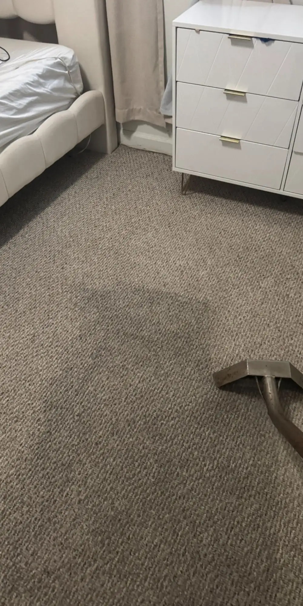 How Often Should San Diego Carpets Actually Be Cleaned?