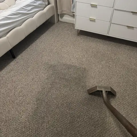 San Diego Carpet Care project photo 13